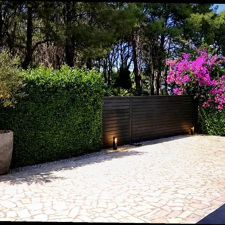 With Pool בית אירוח פולה